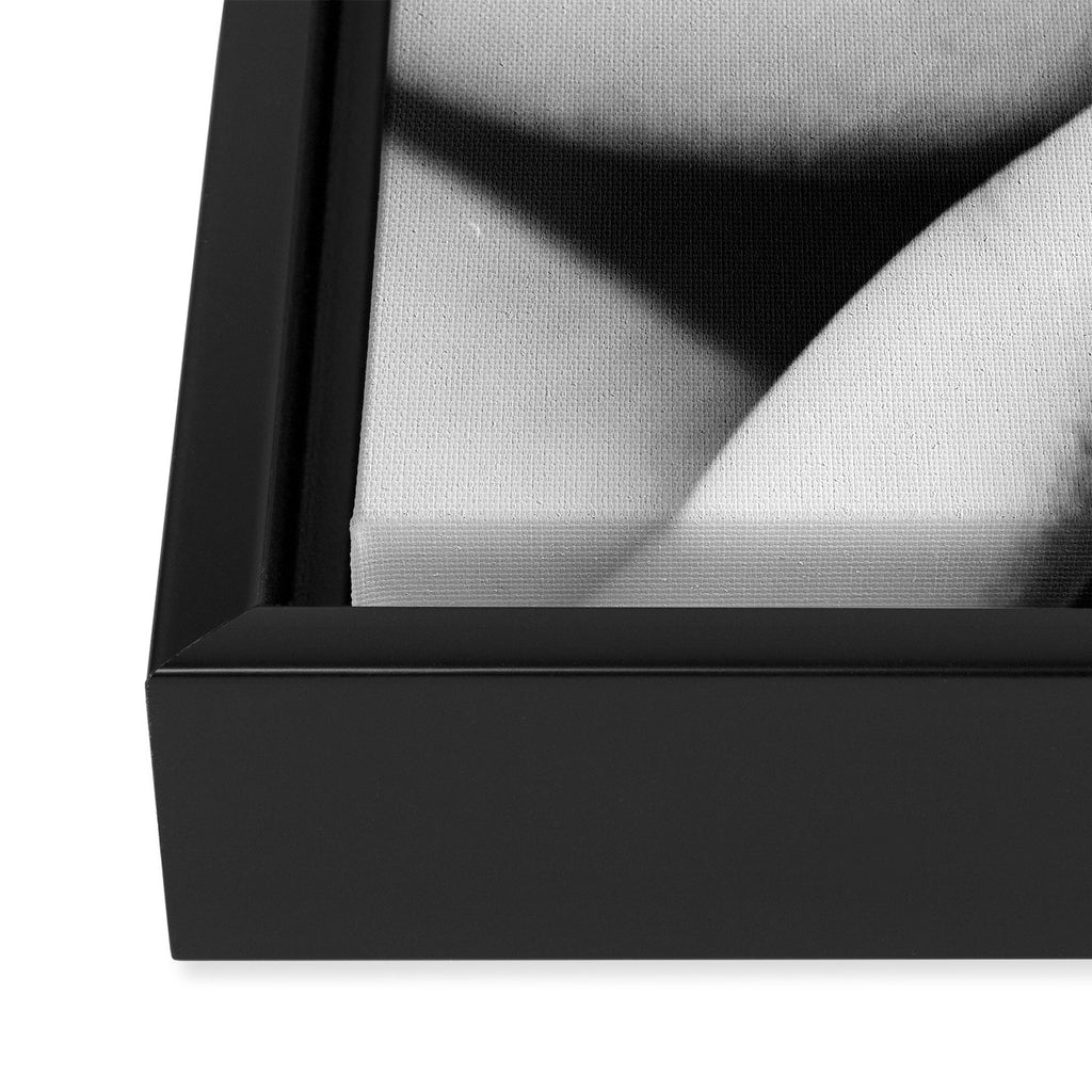 Disco Ball Female Lips - Black And White Modern Wall Art Photograph - Home Decor Framed Canvas Print Gallery Image 3