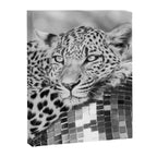 Disco Leopard Canvas Print Gallery Image 6