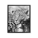 Disco Leopard Framed Canvas Print Gallery Image 6