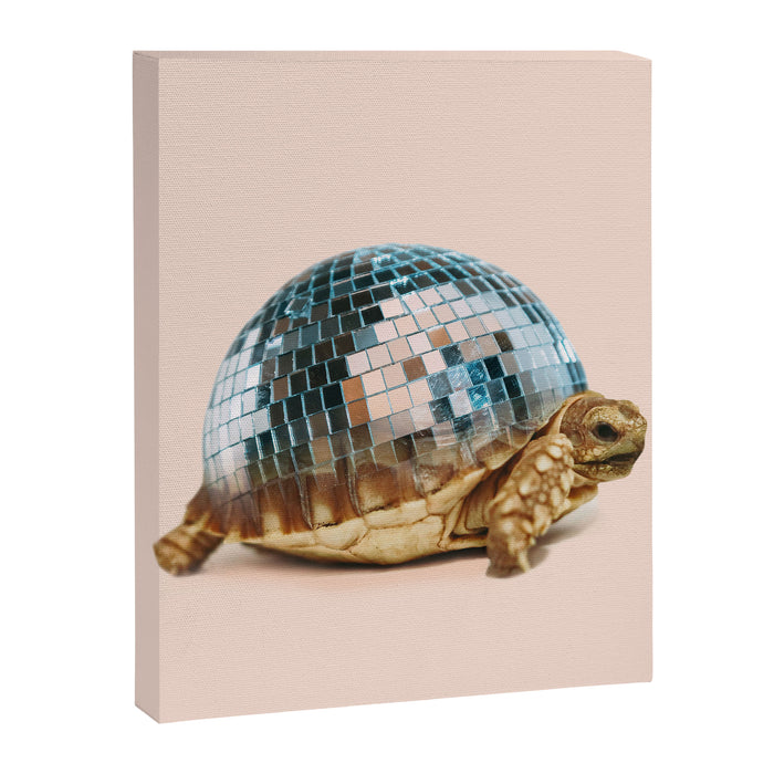 DISCO TURTLE Canvas Print Gallery Image 1