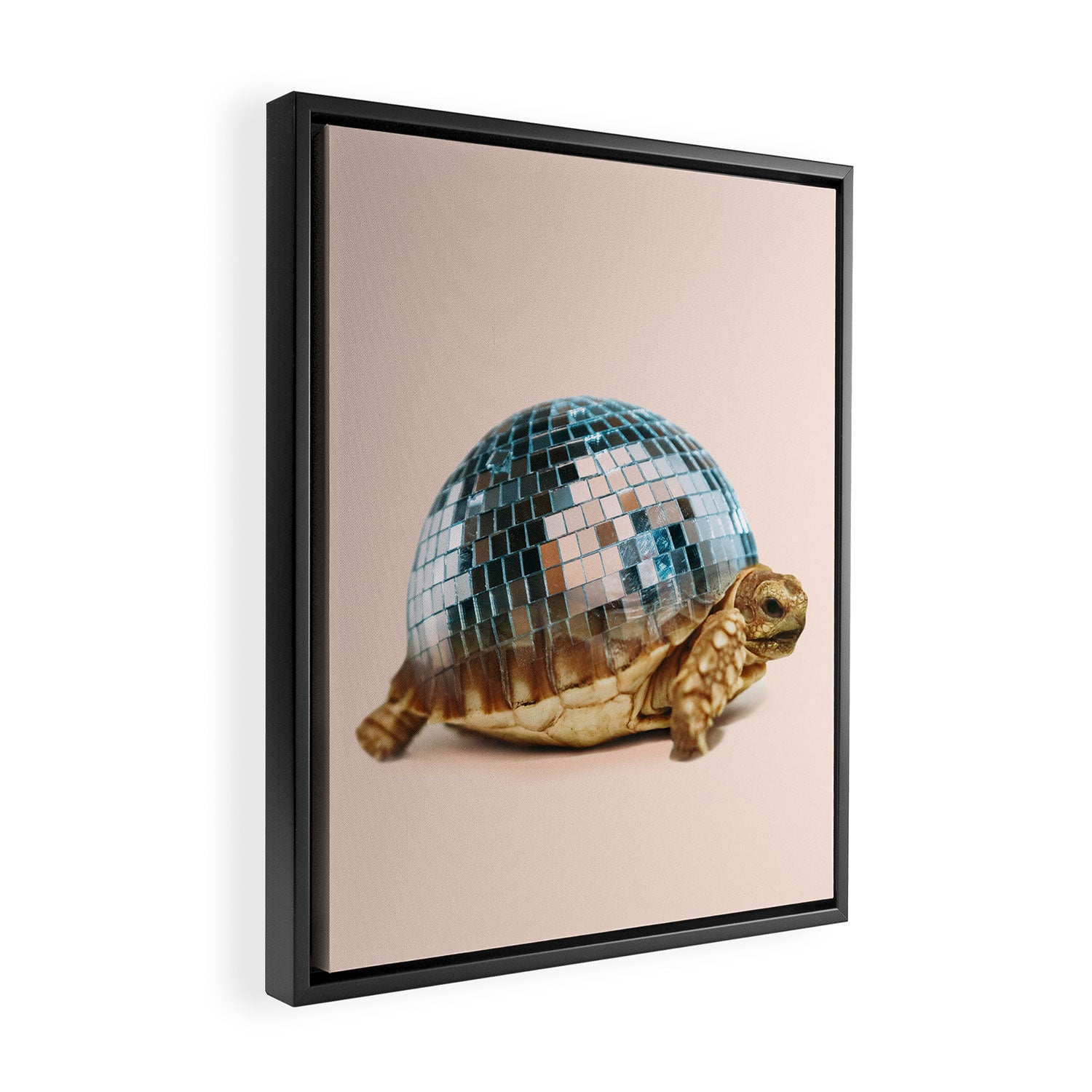 DISCO TURTLE Framed Canvas Print Gallery Image 2