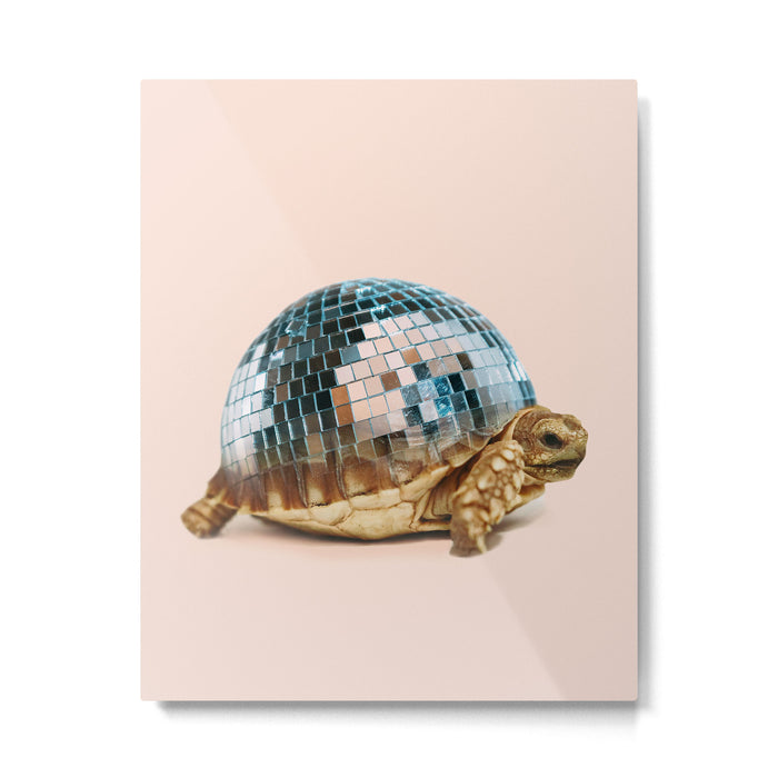 DISCO TURTLE Metal Print Gallery Image 1