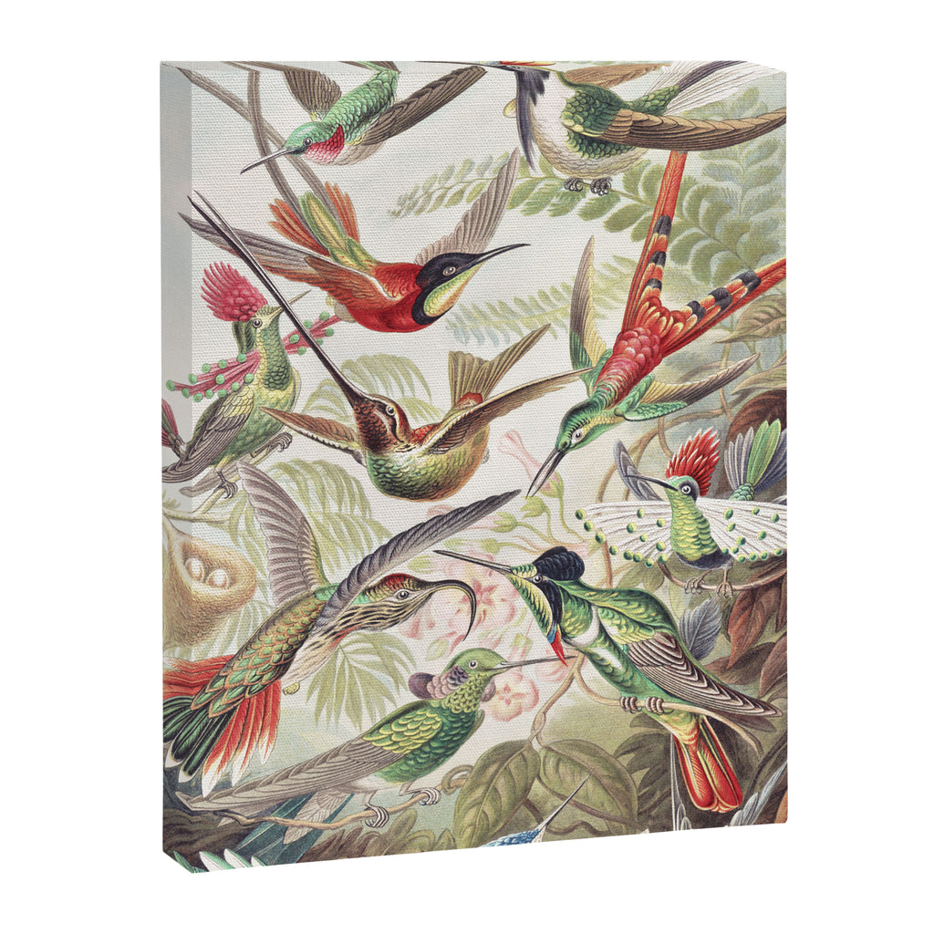 Hummingbirds 2.0 Canvas Print Gallery Image 6