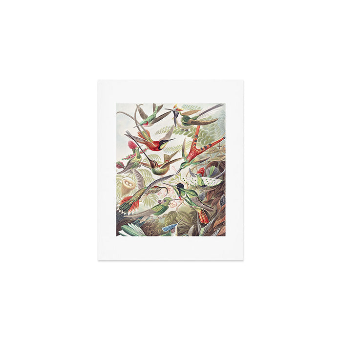 Hummingbirds 2.0 Art Print Gallery Image 1