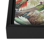 Hummingbirds 2.0 Framed Canvas Print Gallery Image 3