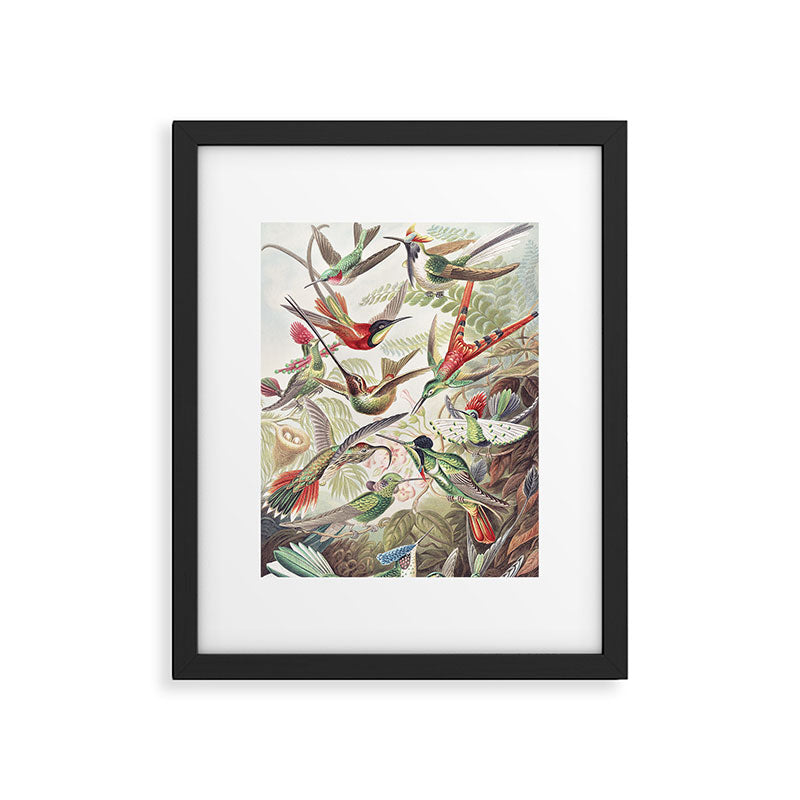 Hummingbirds 2.0 Framed Art Print Gallery Image 5
