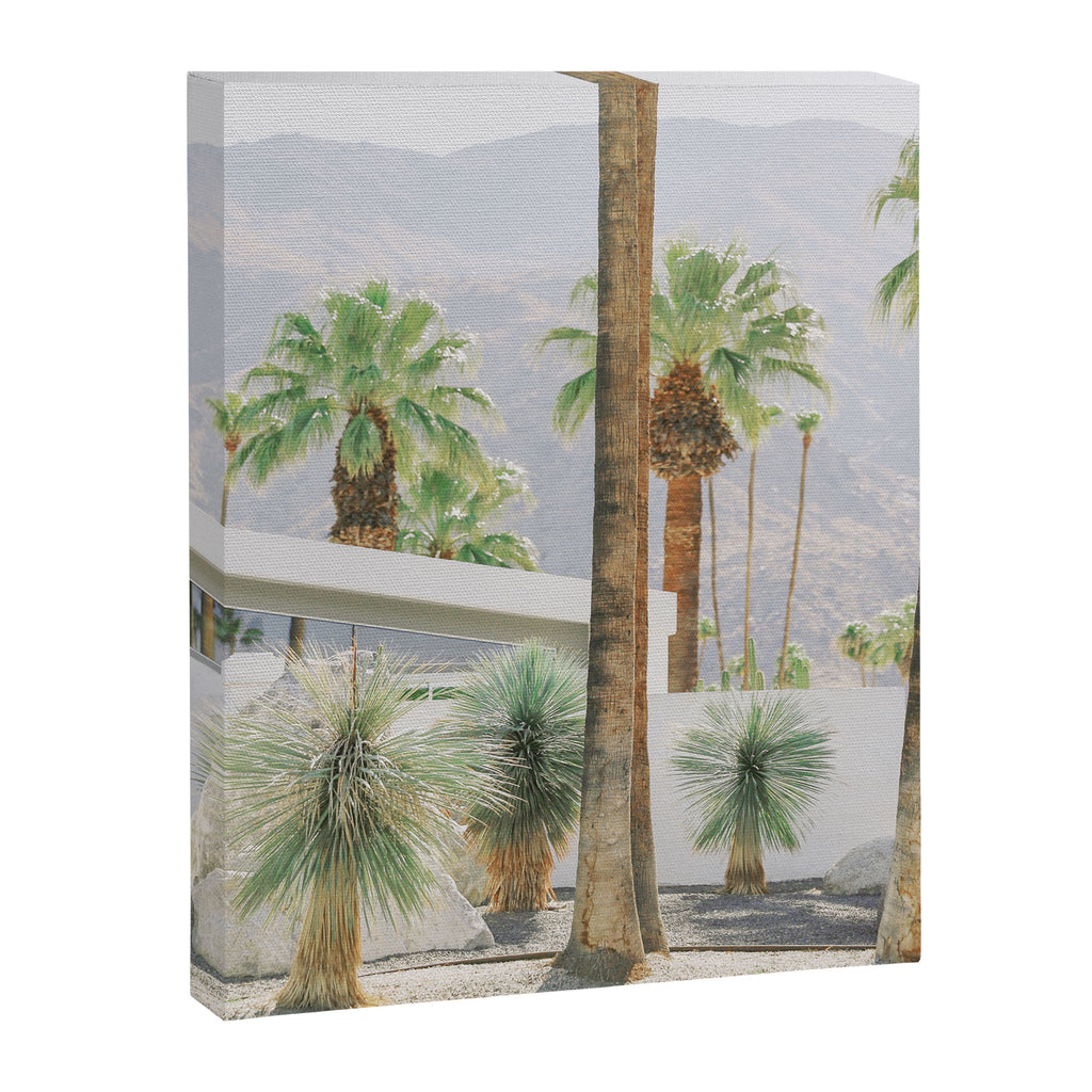 Palm Springs Palms Canvas Print Gallery Image 6