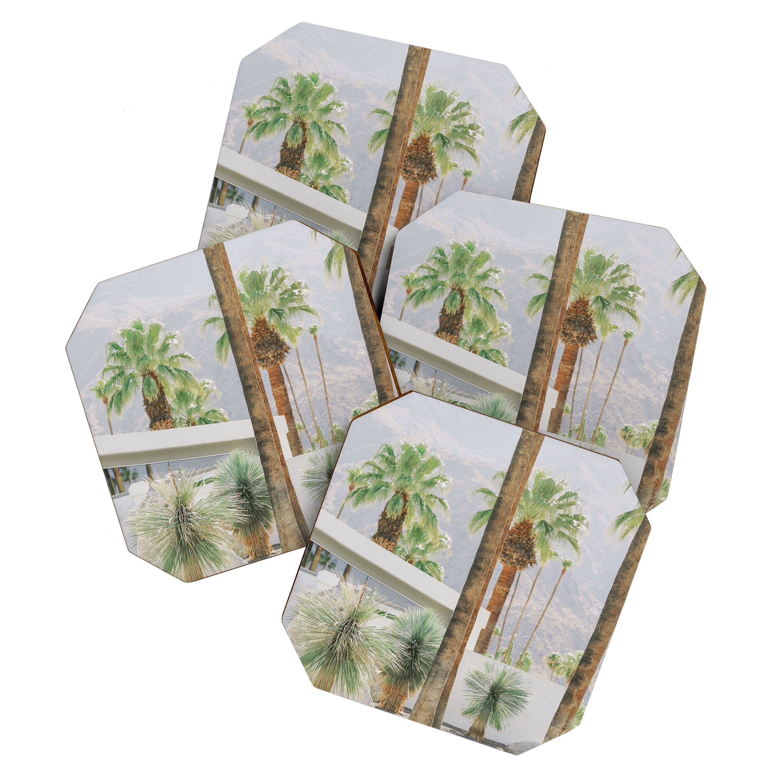 Palm Springs Palms Coaster Gallery Image 1
