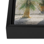 Palm Springs Palms Framed Canvas Print Gallery Image 3