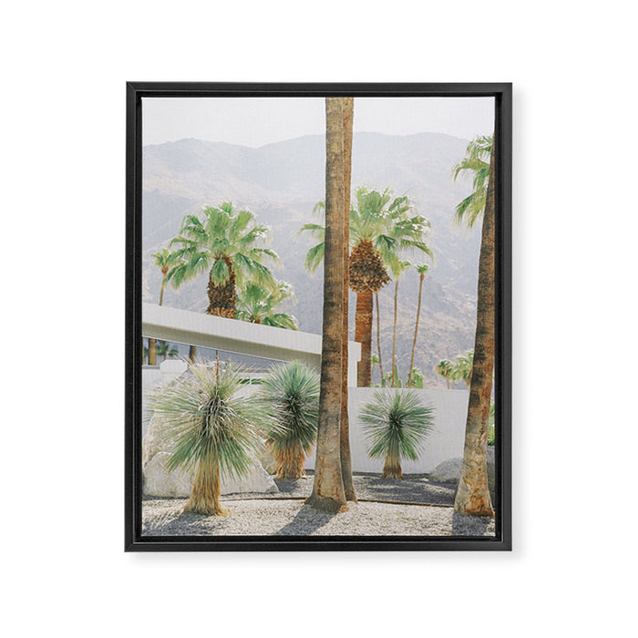 Palm Springs Palms Framed Canvas Print Gallery Image 1