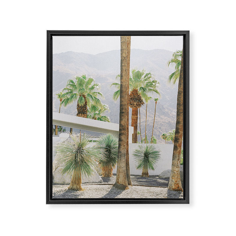 Palm Springs Palms Framed Canvas Print Gallery Image 6
