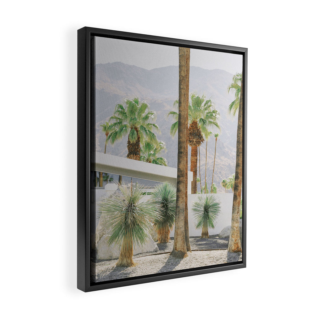 Palm Springs Palms Framed Canvas Print Gallery Image 2