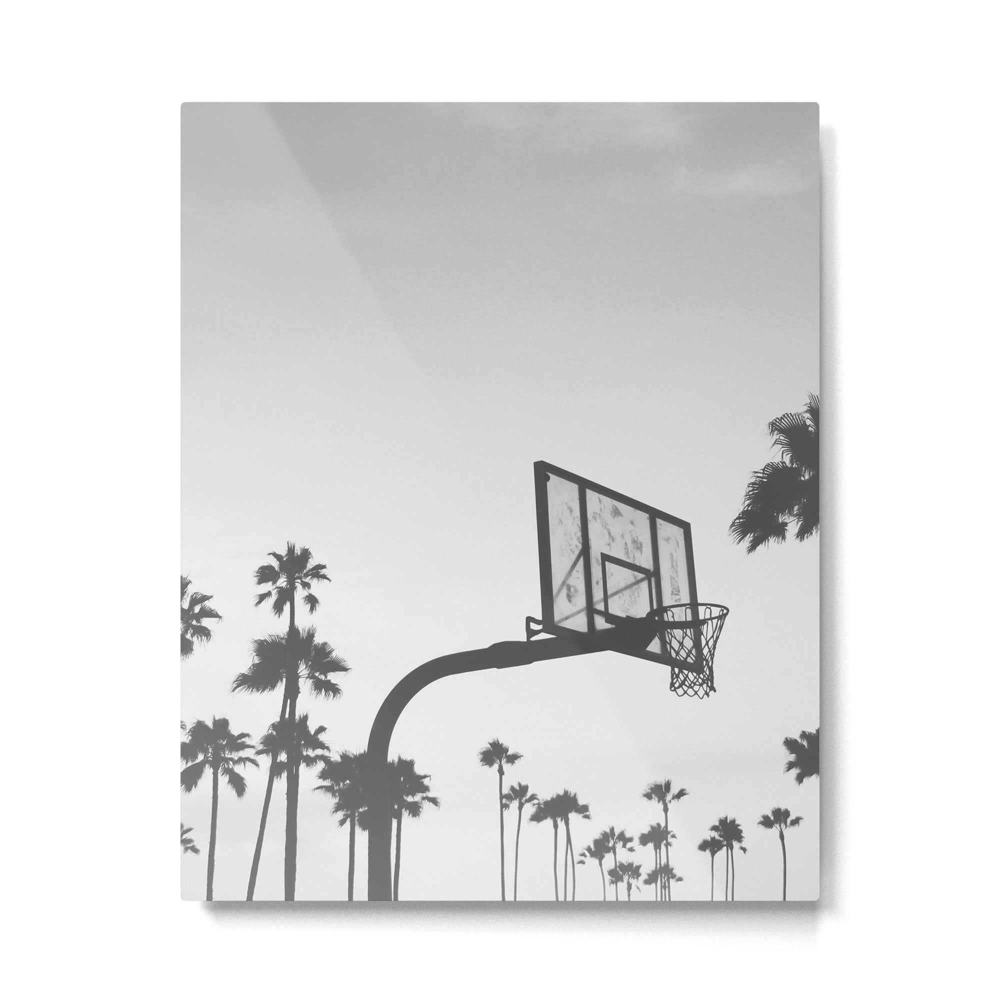 Palms and Hoops Metal Print Gallery Image 4