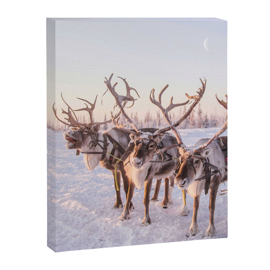 REINDEER PORTRAIT Canvas Print Gallery Image 6