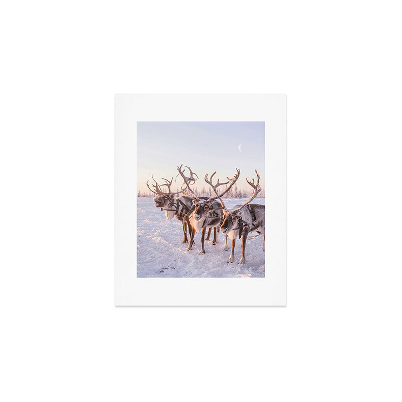 REINDEER PORTRAIT Art Print Gallery Image 1
