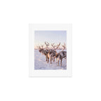 REINDEER PORTRAIT Art Print Gallery Image 1
