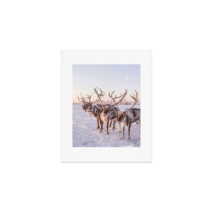 REINDEER PORTRAIT Art Print Gallery Image 1