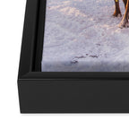 REINDEER PORTRAIT Framed Canvas Print Gallery Image 3