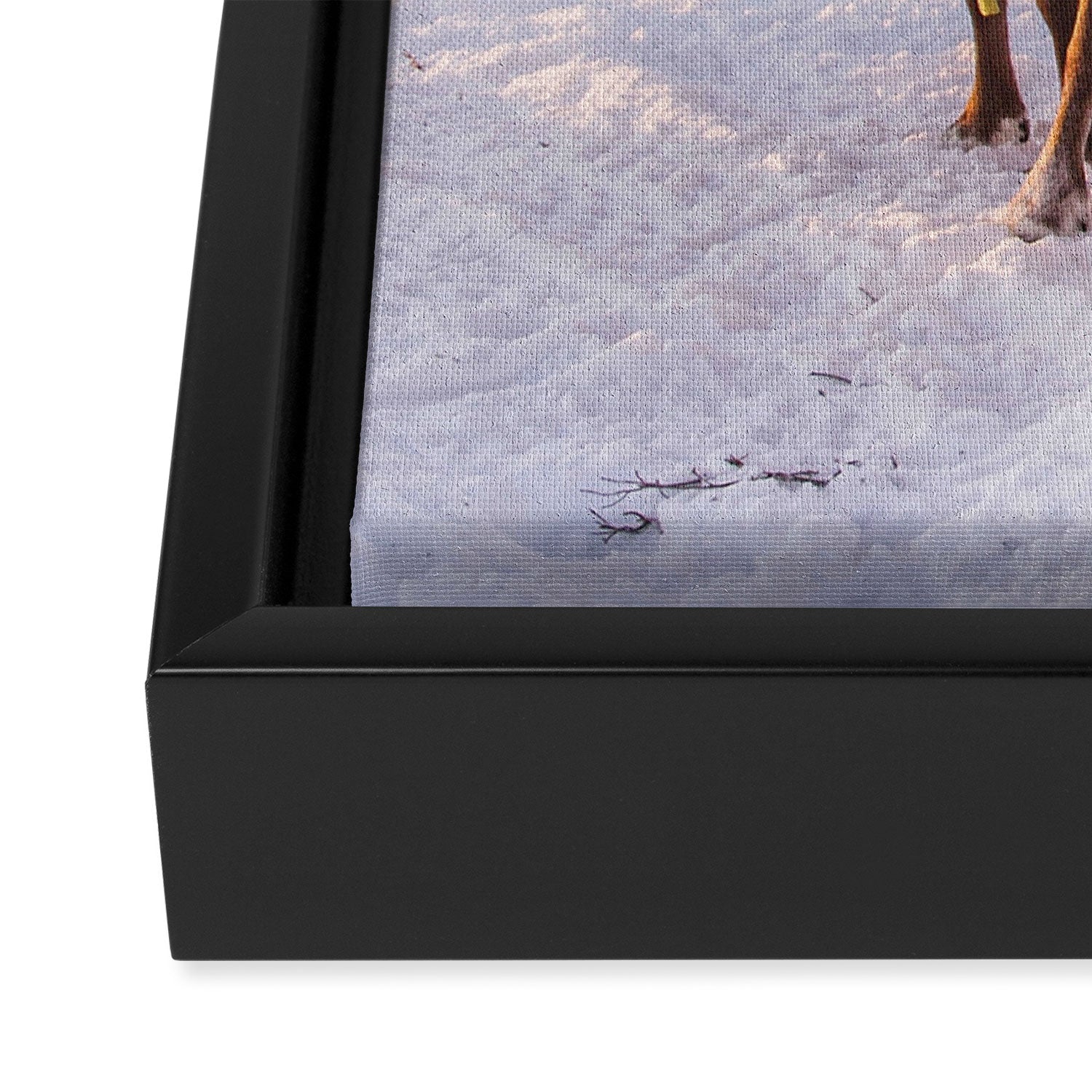 REINDEER PORTRAIT Framed Canvas Print Gallery Image 3