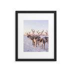 REINDEER PORTRAIT Framed Art Print Gallery Image 5