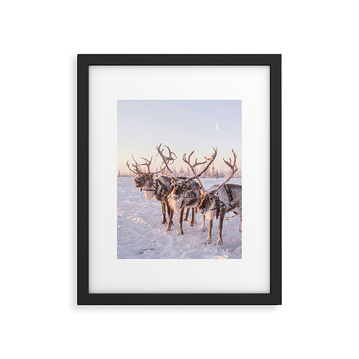 REINDEER PORTRAIT Framed Art Print Gallery Image 1