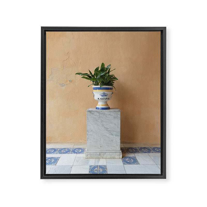 Seville Architecture with Greenery Minimalist Travel Photography Framed Canvas Print Gallery Image 6