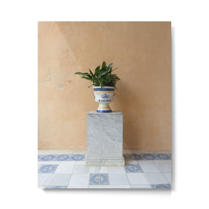 Seville Architecture with Greenery Minimalist Travel Photography Metal Print Gallery Image 1
