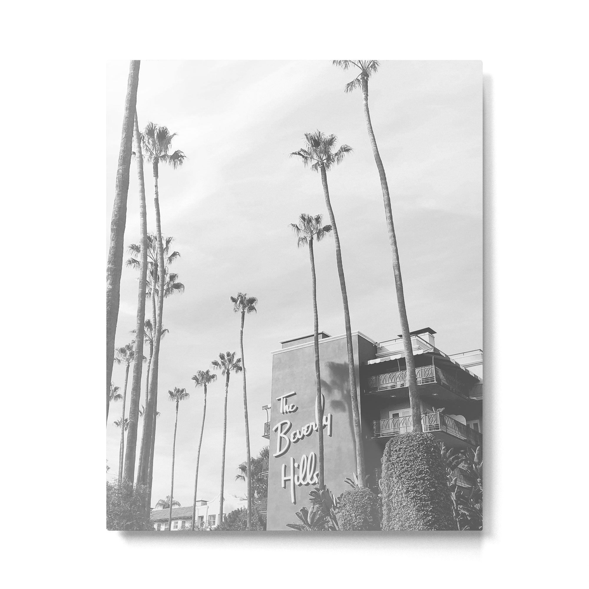 The Beverly Hills Hotel | California Travel Photography | Black and White Photo Print Metal Print Gallery Image 4