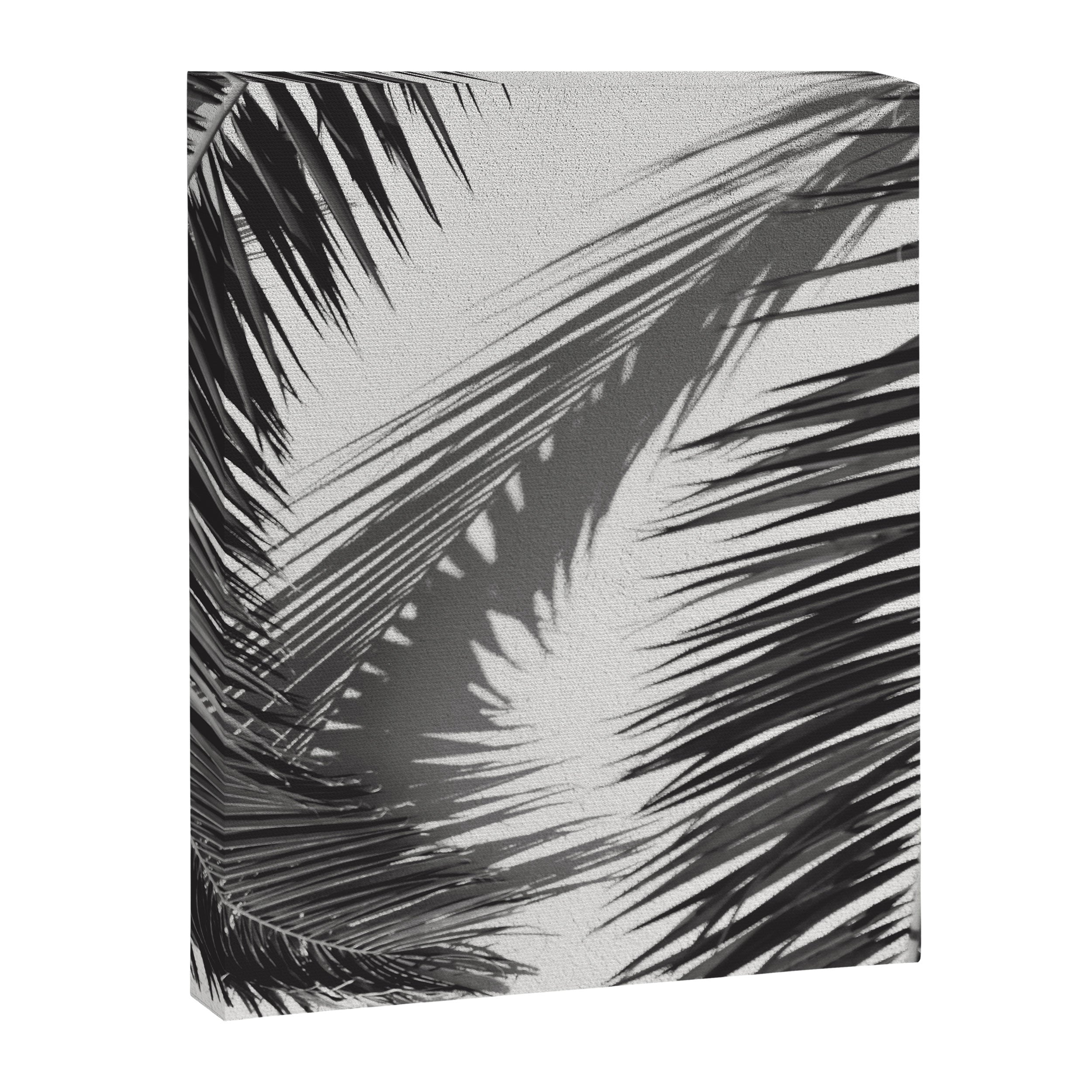 Tropical Palms Shadow Black And White Photography - Summer Photo Art Print -  Film Nature Holiday Paradise Photograph - Photographs Canvas Print Gallery Image 6