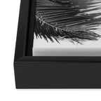 Tropical Palms Shadow Black And White Photography - Summer Photo Art Print -  Film Nature Holiday Paradise Photograph - Photographs Framed Canvas Print Gallery Image 3
