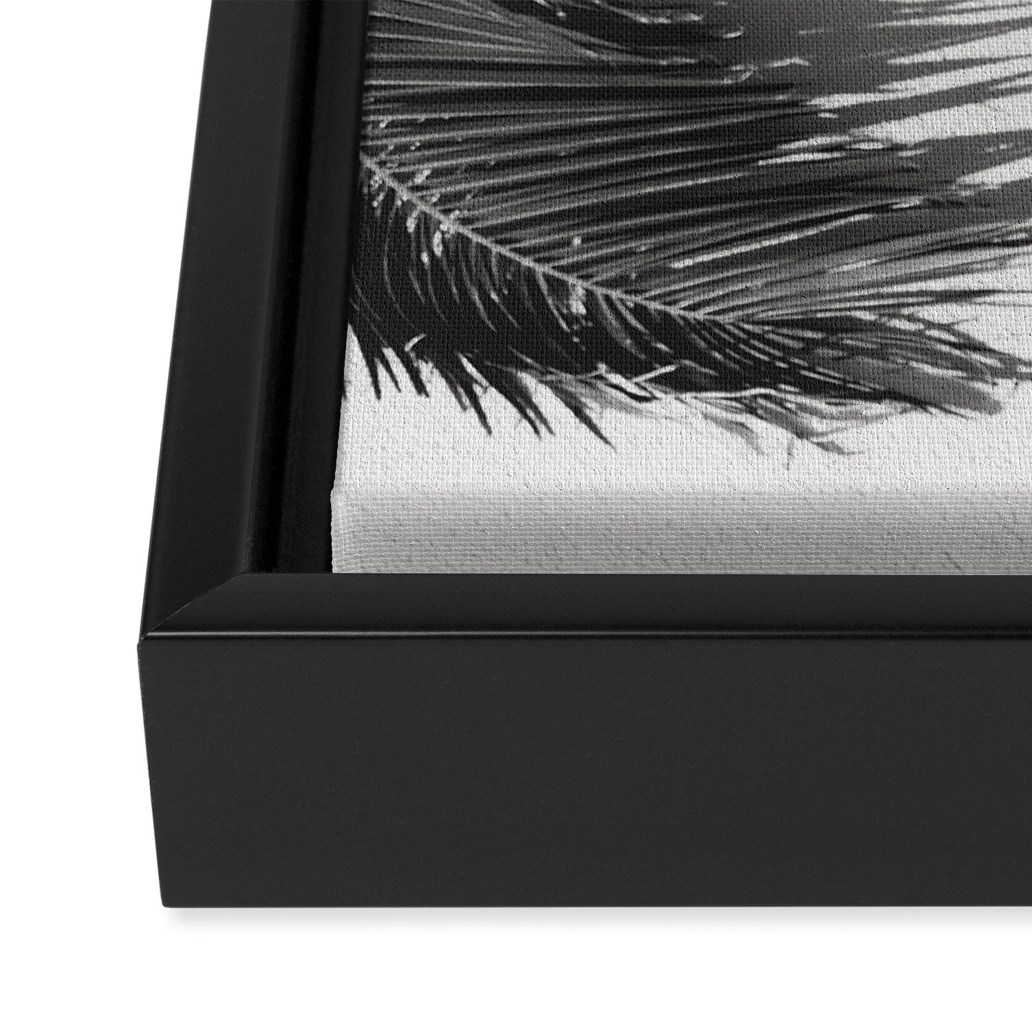 Tropical Palms Shadow Black And White Photography - Summer Photo Art Print -  Film Nature Holiday Paradise Photograph - Photographs Framed Canvas Print Gallery Image 3