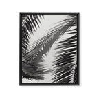 Tropical Palms Shadow Black And White Photography - Summer Photo Art Print -  Film Nature Holiday Paradise Photograph - Photographs Framed Canvas Print Gallery Image 6