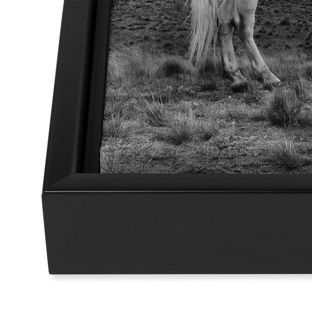 WILD HORSE GIRL Framed Canvas Print Gallery Image 3