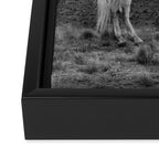 WILD HORSE GIRL Framed Canvas Print Gallery Image 3