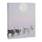 Winter Landscape Photo Art - Lapland Series - Reindeer Moon Minimal Nature Canvas Print Gallery Image 6