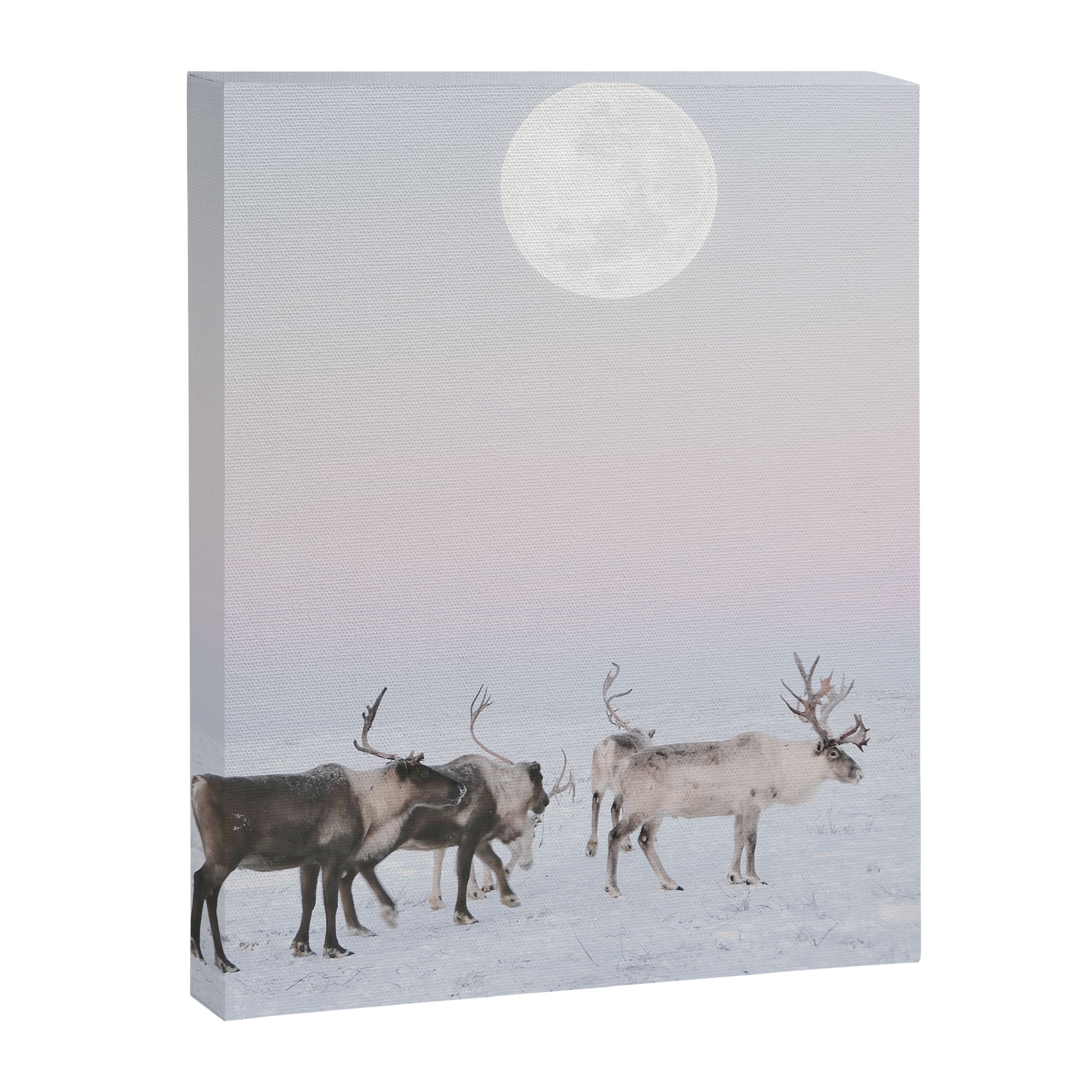 Winter Landscape Photo Art - Lapland Series - Reindeer Moon Minimal Nature Canvas Print Gallery Image 6