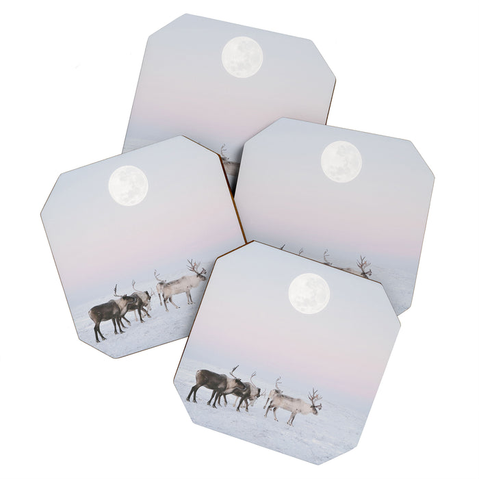 Winter Landscape Photo Art - Lapland Series - Reindeer Moon Minimal Nature Coaster Gallery Image 1