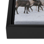 Winter Landscape Photo Art - Lapland Series - Reindeer Moon Minimal Nature Framed Canvas Print Gallery Image 3