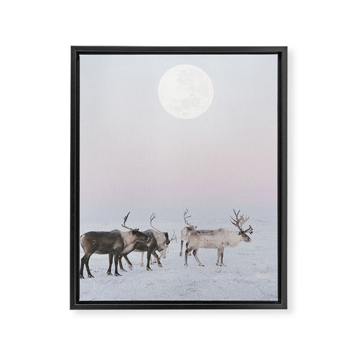 Winter Landscape Photo Art - Lapland Series - Reindeer Moon Minimal Nature Framed Canvas Print Gallery Image 1