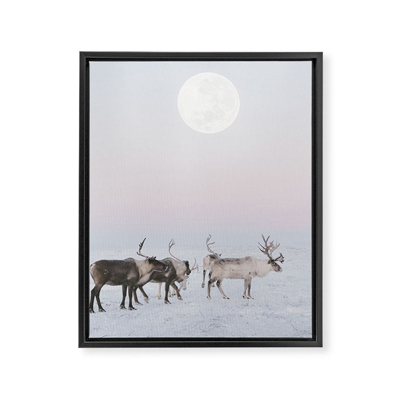 Winter Landscape Photo Art - Lapland Series - Reindeer Moon Minimal Nature Framed Canvas Print Gallery Image 6