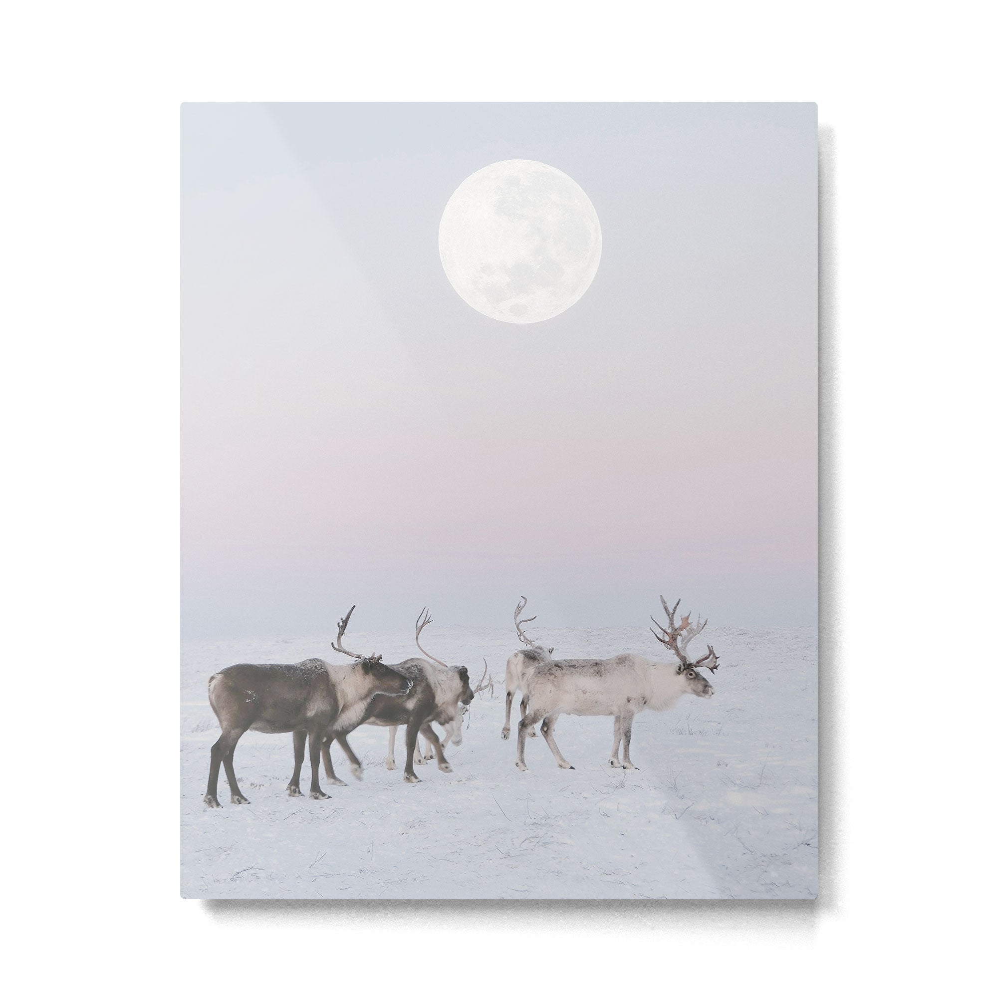 Winter Landscape Photo Art - Lapland Series - Reindeer Moon Minimal Nature Metal Print Gallery Image 4