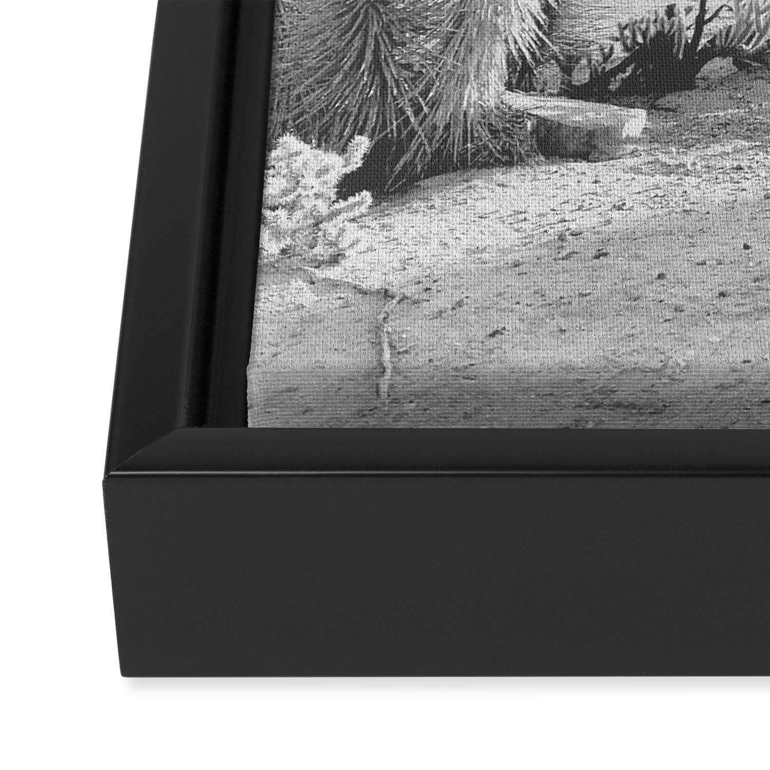 Yucca Valley | Black and White California Landscape Photography Framed Canvas Print Gallery Image 3