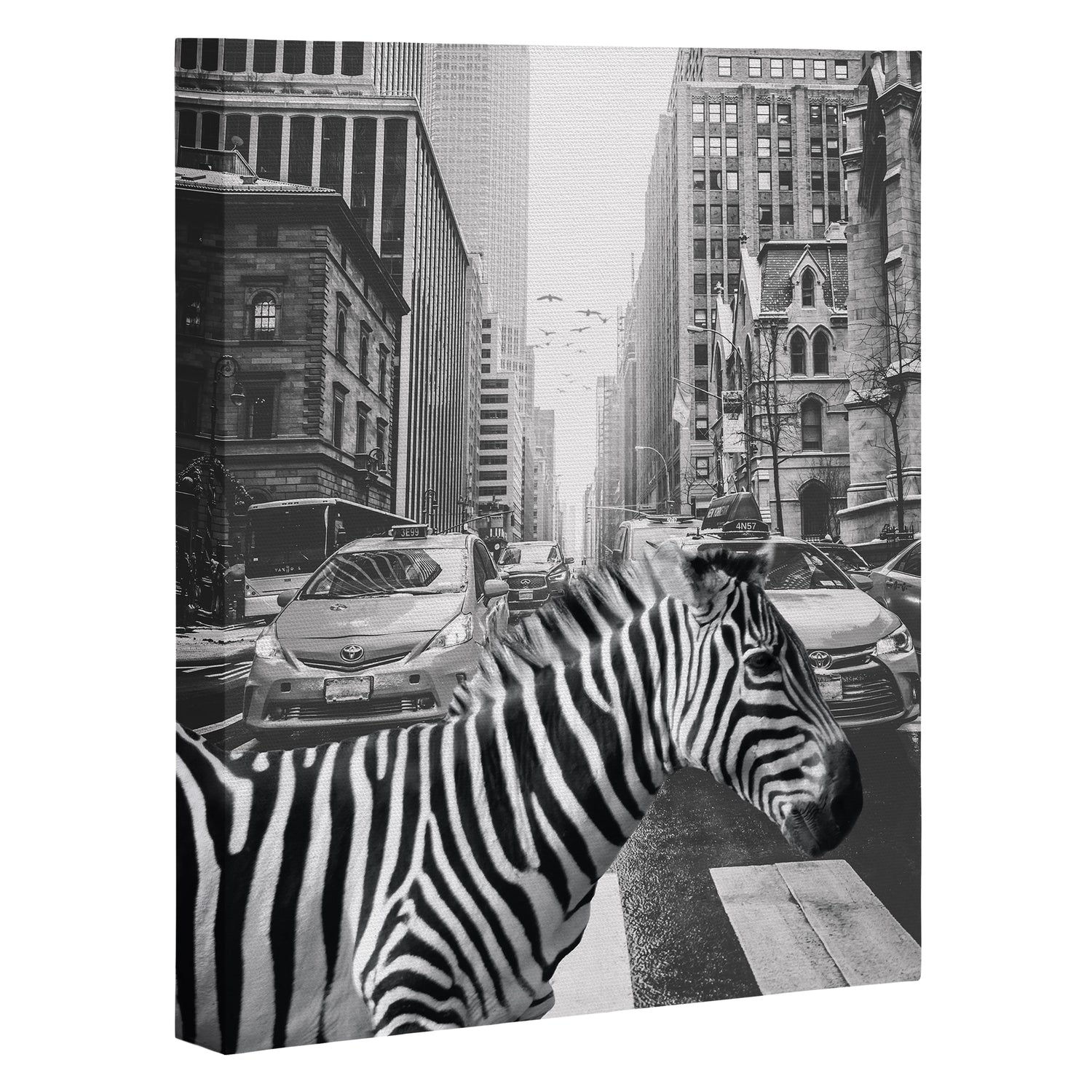 Zebra In The City - Black And White Photography Collage Canvas Print Gallery Image 3