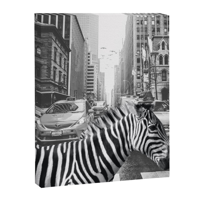 Zebra In The City - Black And White Photography Collage Canvas Print Gallery Image 1