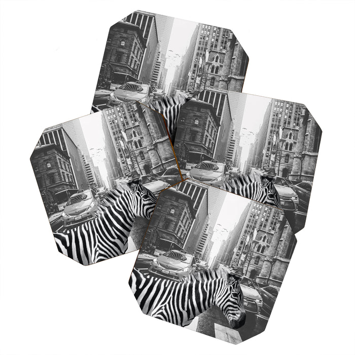 Zebra In The City - Black And White Photography Collage Coaster Gallery Image 1
