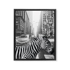 Zebra In The City - Black And White Photography Collage Framed Canvas Print Gallery Image 8