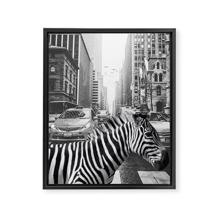 Zebra In The City - Black And White Photography Collage Framed Canvas Print Gallery Image 1