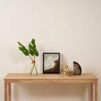 Equator Framed Canvas Print Gallery Image 4