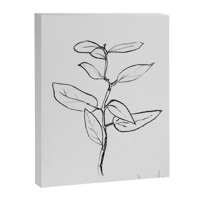 Eucalyptus sapling Canvas Print Gallery Image 1