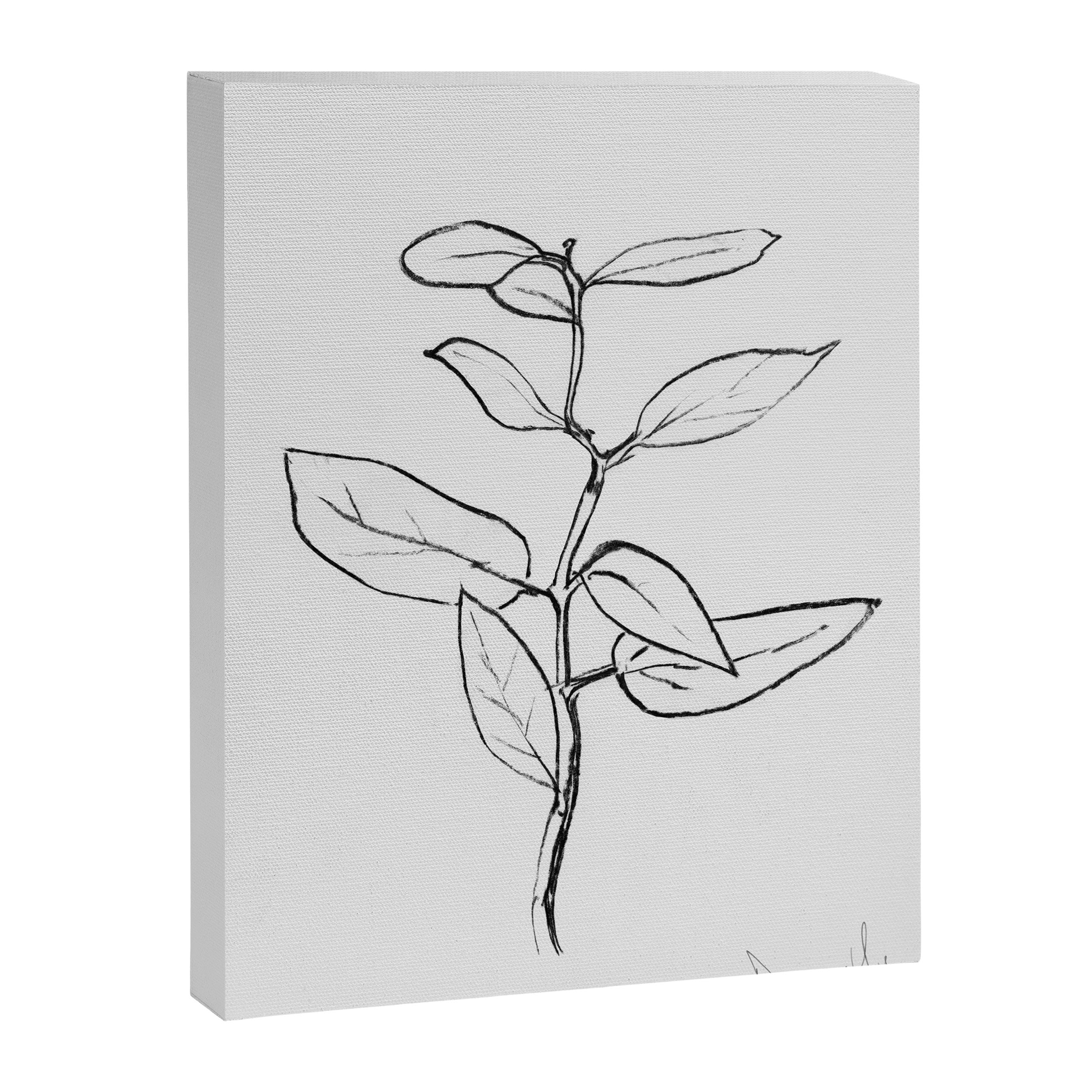 Eucalyptus sapling Canvas Print Gallery Image 6